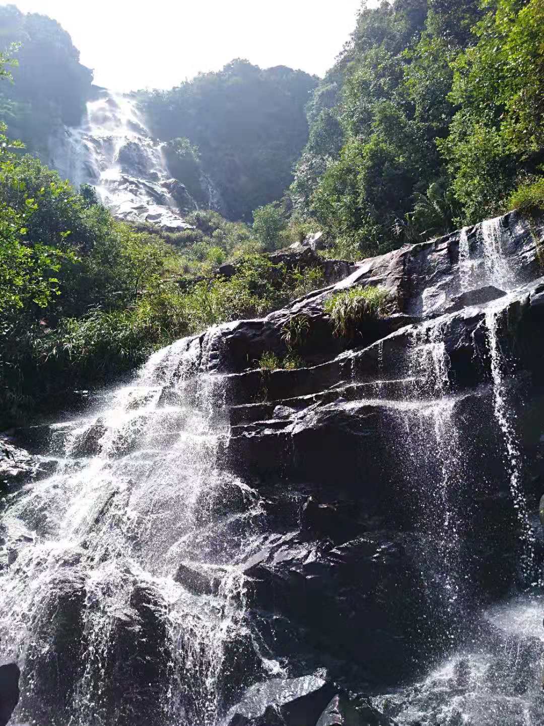 竹木门厂家