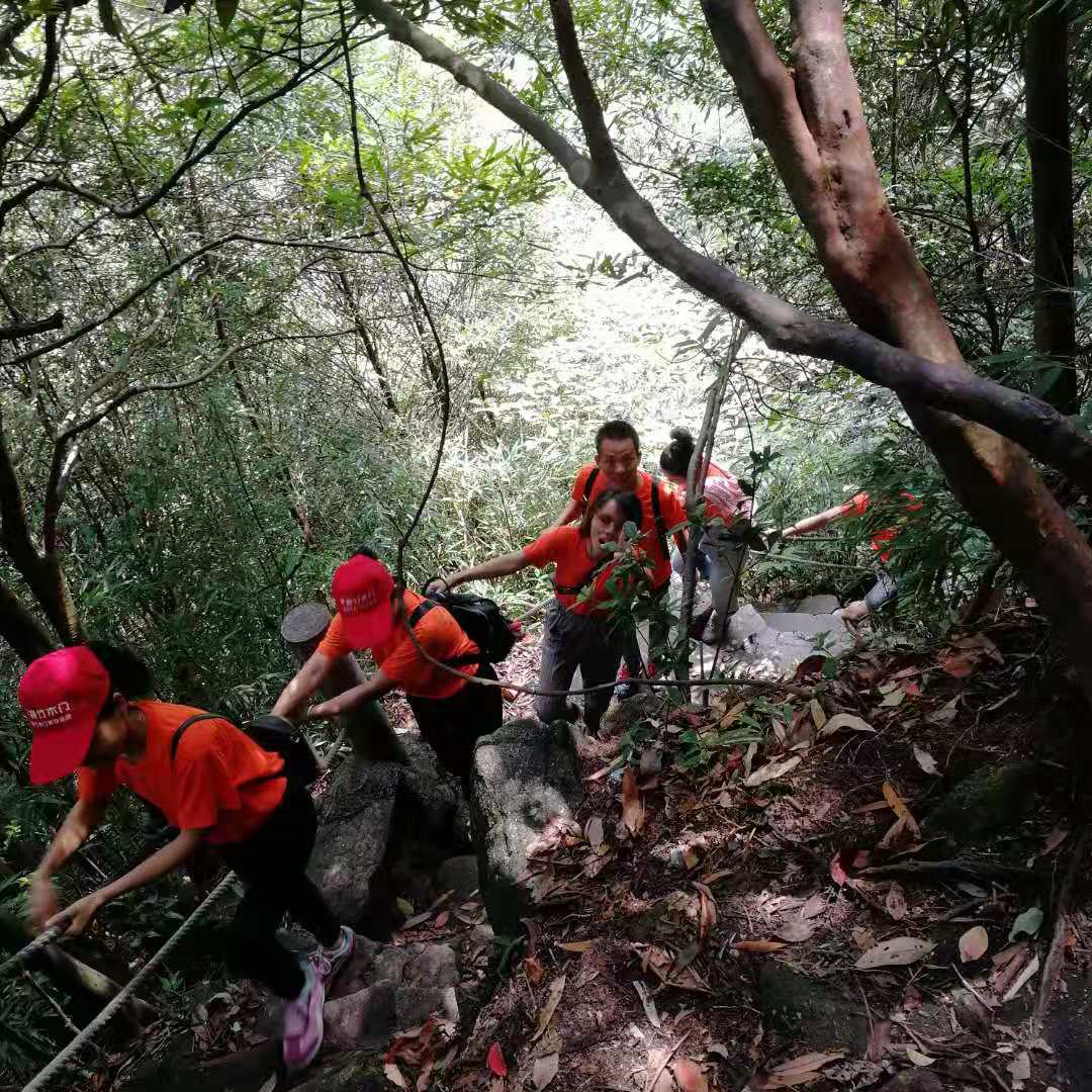 竹木门厂家